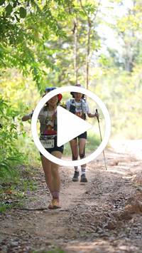 BIB:  <button type="button" onclick="openModal(27637072)" class="btn btn-primary btn-sm float-right" data-toggle="modal" data-target=".modal-high-quality">
                <i class="fa fa-download"></i> Download
                </button>